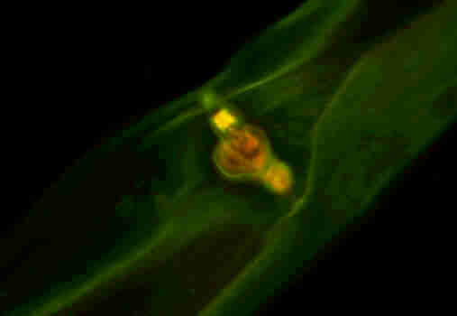 Gef&auml;�hyphen mit Balken 