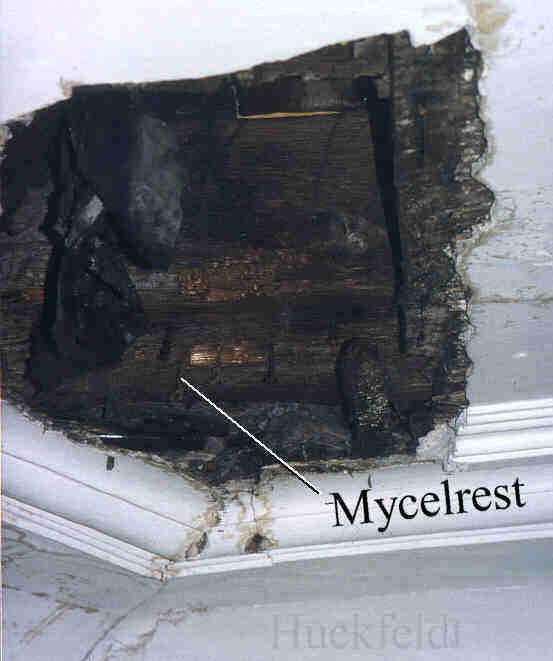 Einbruch einer Deckenkonstruktion