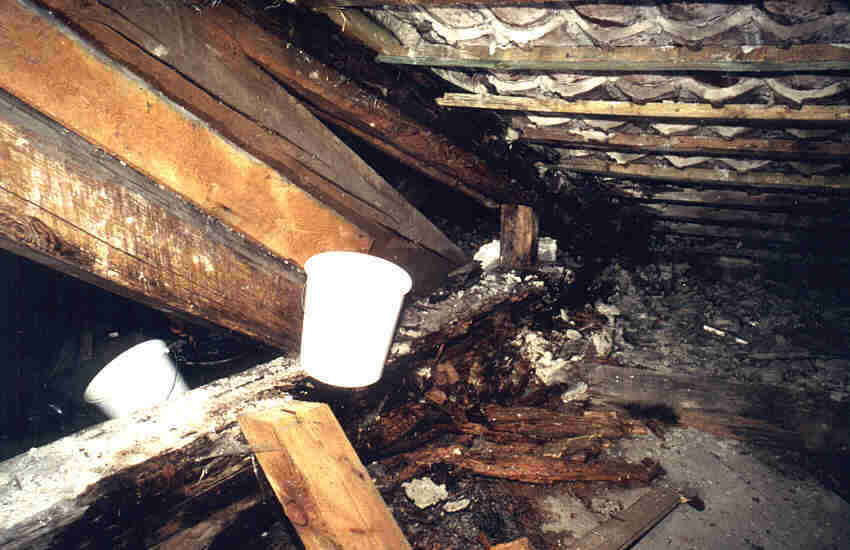 Befall eines Dachstuhles