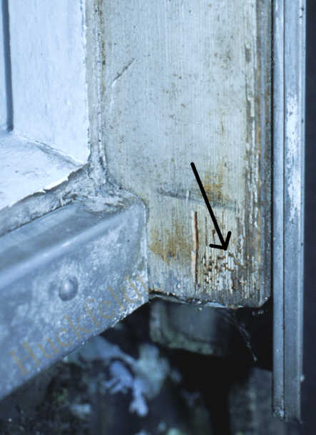 Schadensbild einer Gallerttr&auml;ne