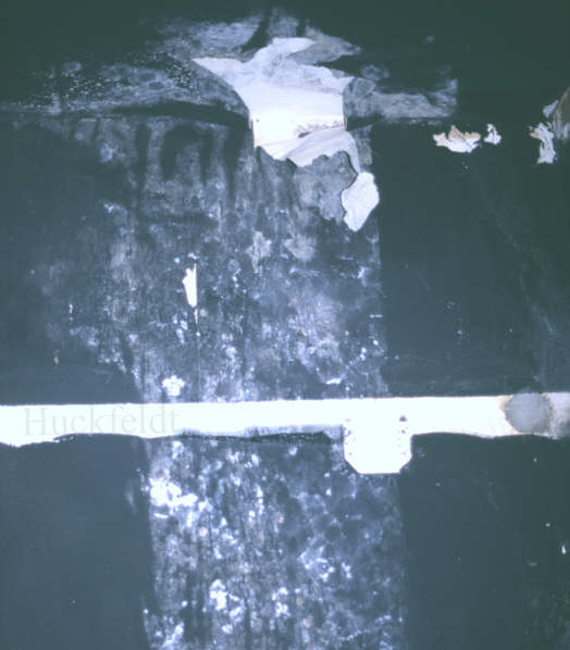 Schimmelpilze an einer Tapete